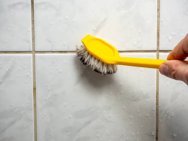 Best Attic Mold Removal  in Litchfield, IL