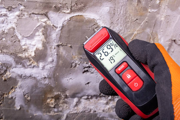 Best Affordable Mold Removal  in Litchfield, IL