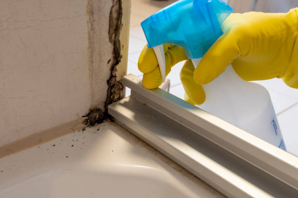 Best Crawl Space Mold Removal  in Litchfield, IL